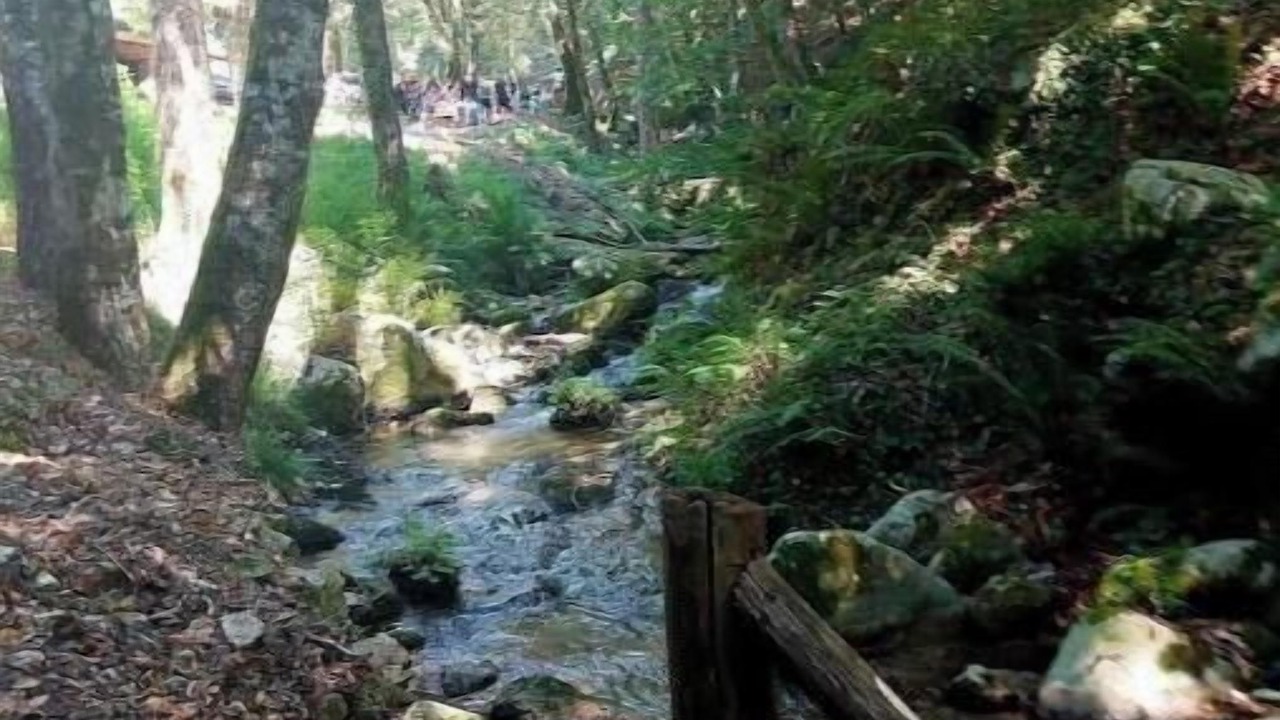 Photo of Others in Gioiosa Ionica