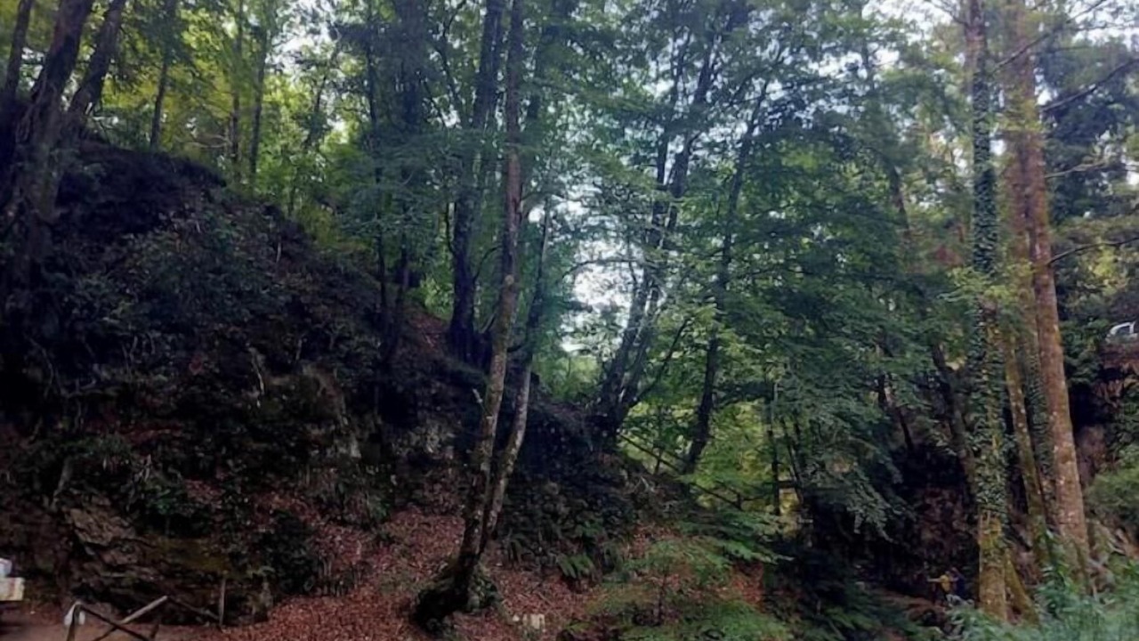 Photo of Others in Gioiosa Ionica