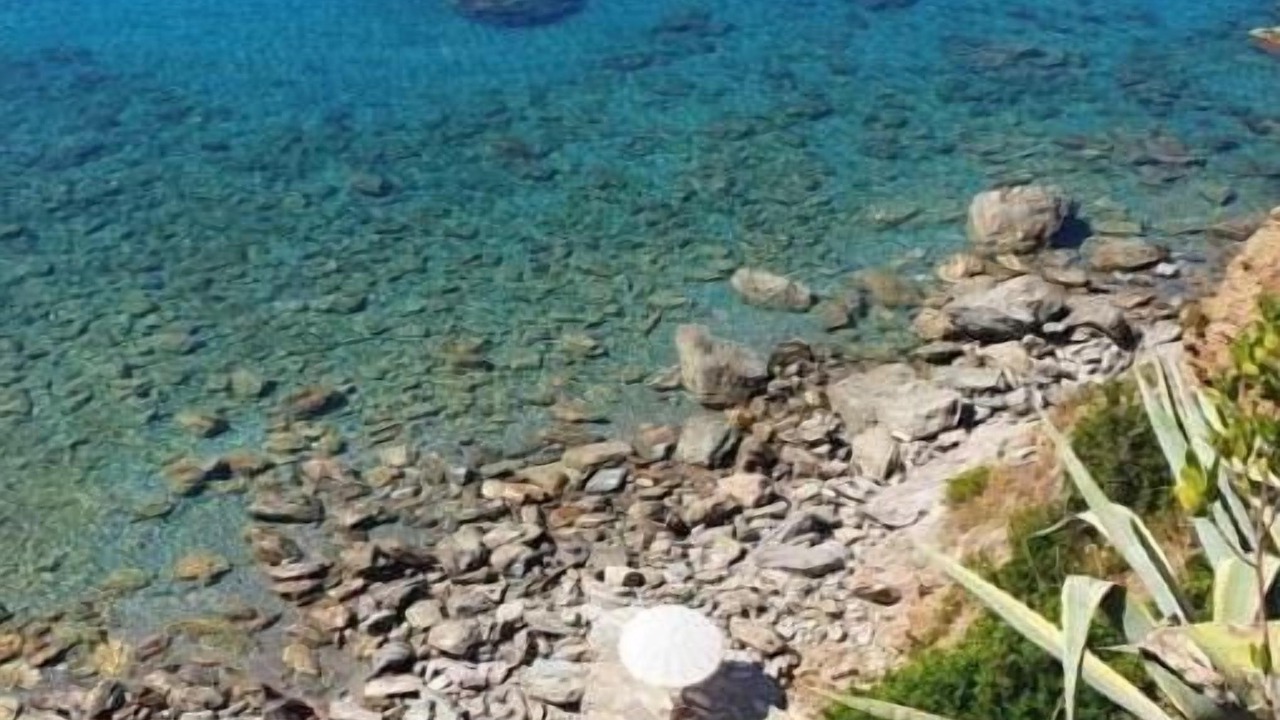 Photo of Others in Bonifati