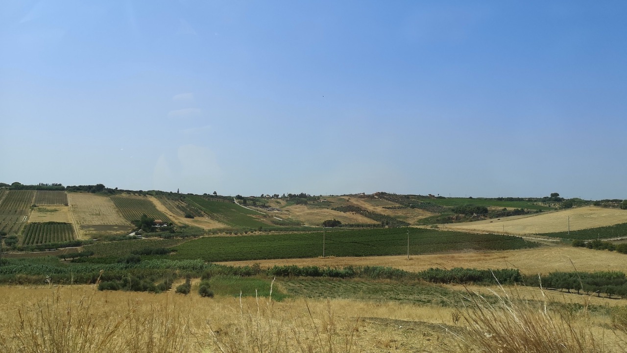 Photo of Others in Menfi