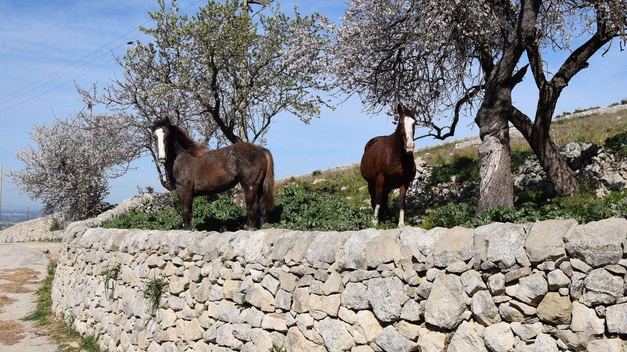 Photo of Outdoor in Chiaramonte Gulfi