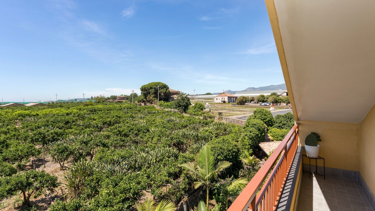 Photo of Outdoor in Archi