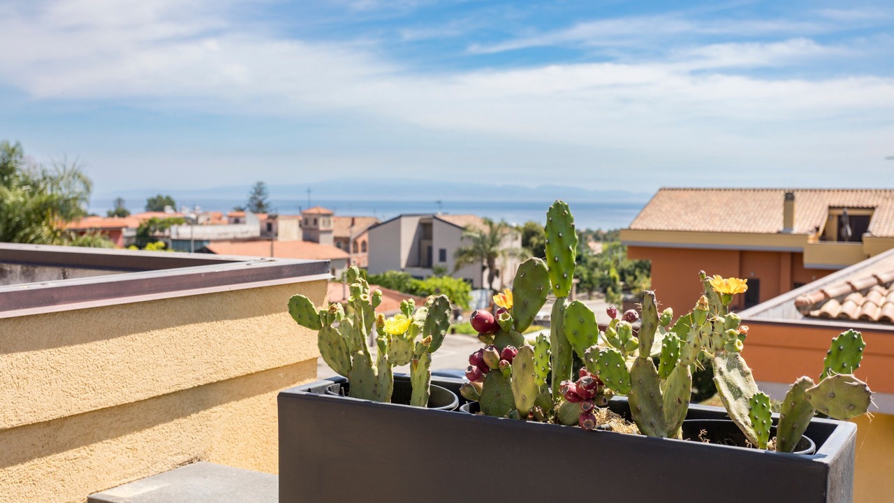 Photo of Outdoor in Archi