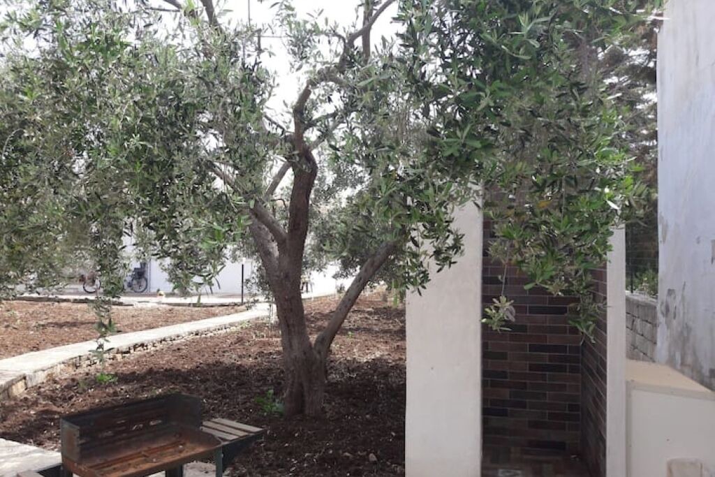 Photo of Outdoor in Ognina