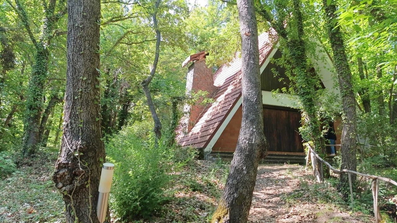 Photo of Outdoor in Pedara