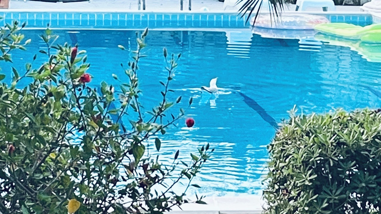 Photo of Outdoor in Terrasini