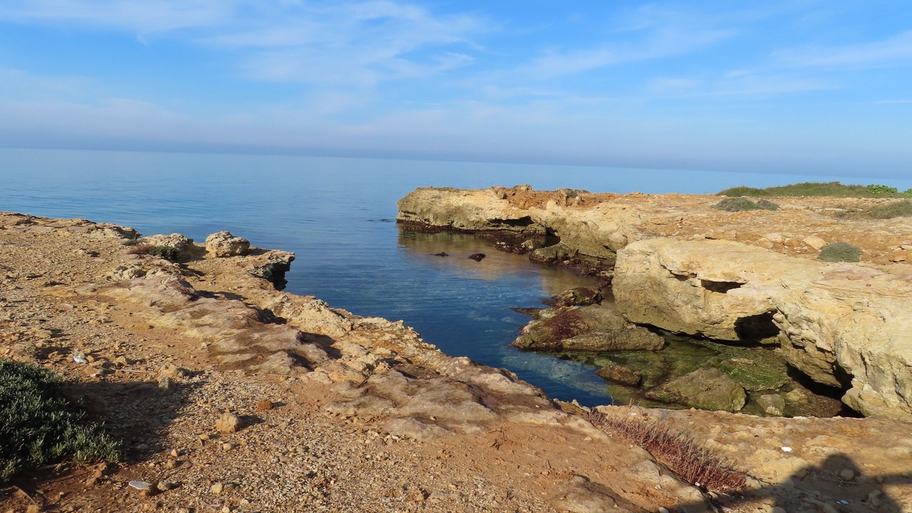 Photo of Others in Punta Braccetto