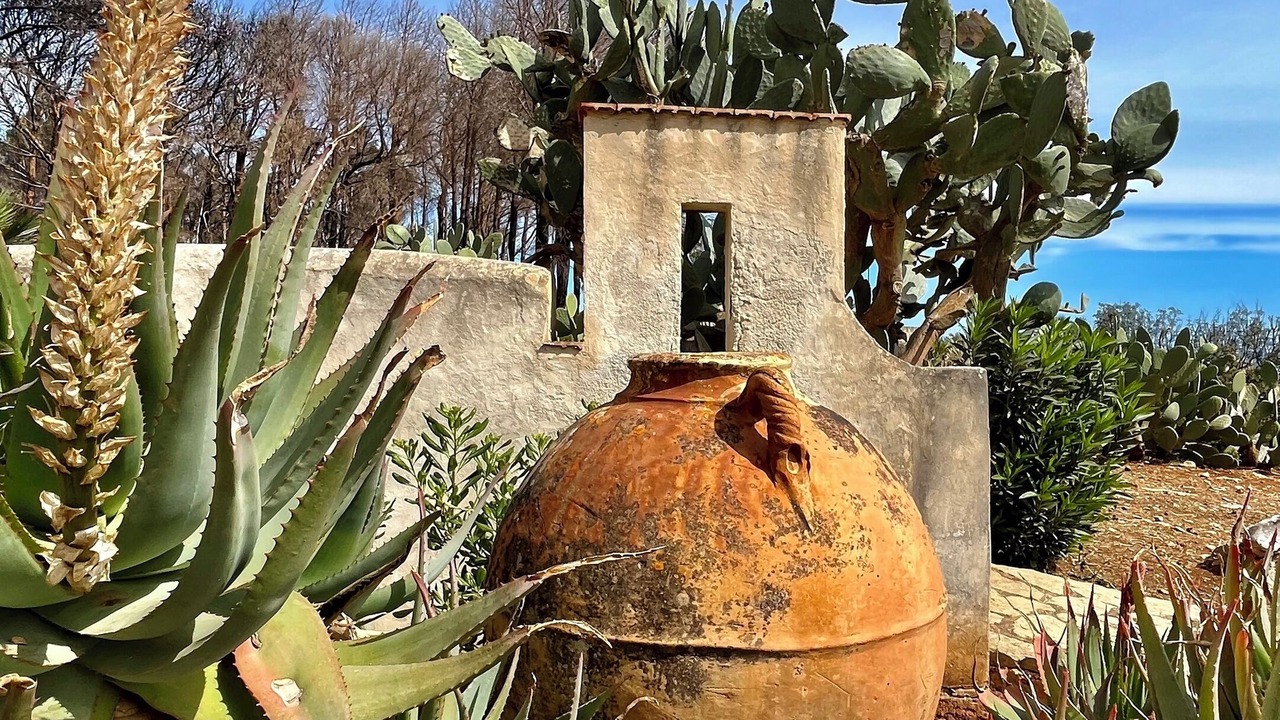 Photo of Outdoor in San Vito Lo Capo