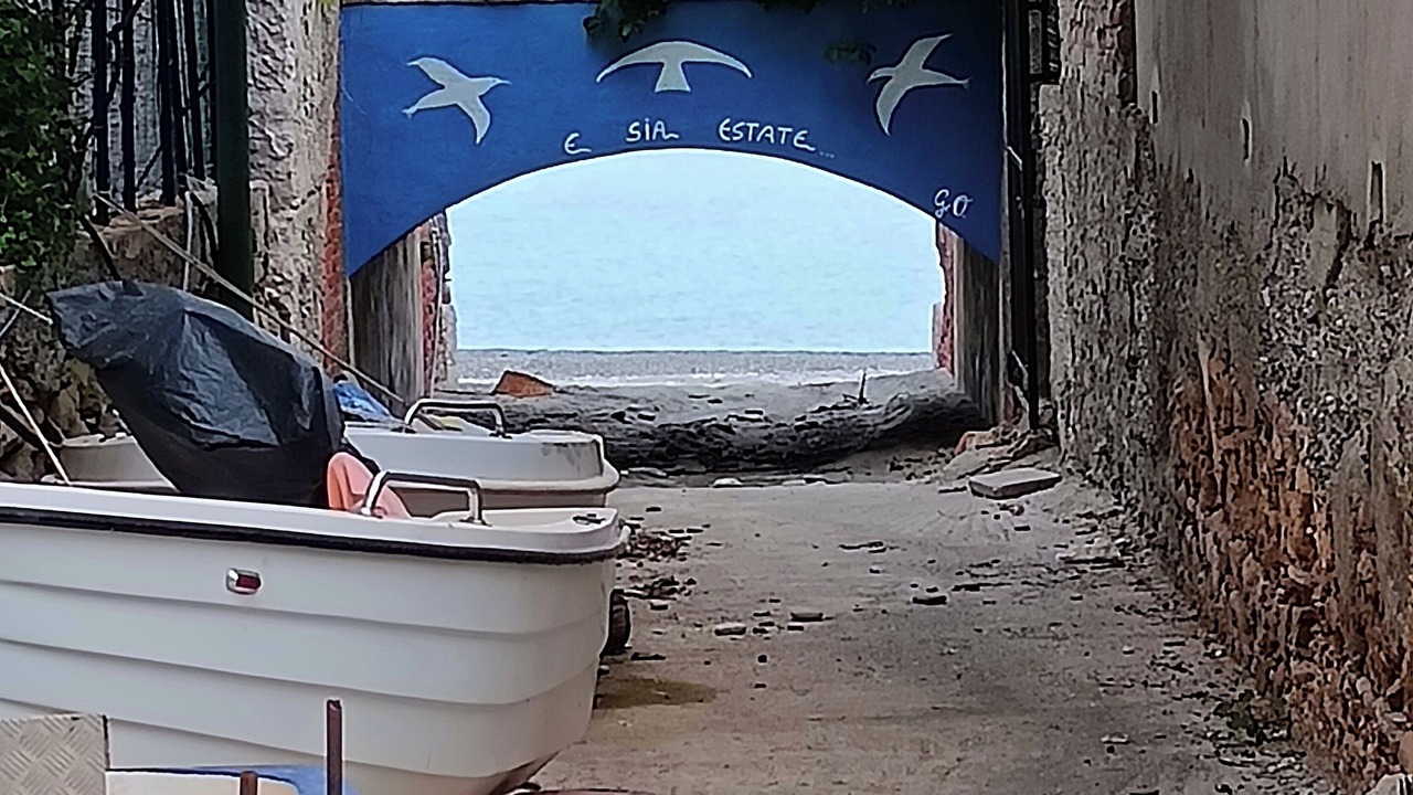 Photo of Outdoor in Porto Salvo