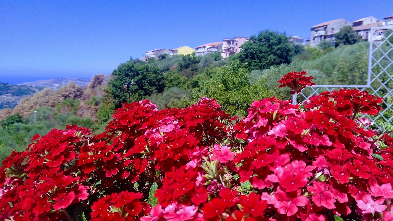 Photo of Outdoor in Torchiara