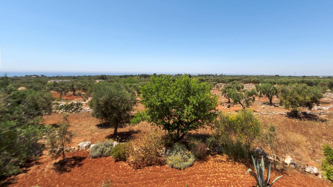 Photo of Outdoor in Morciano di Leuca