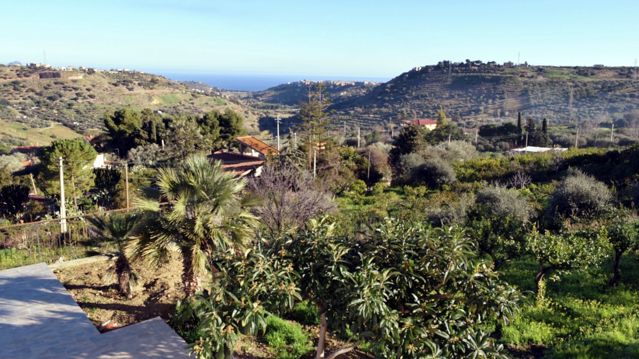 Photo of Others in Altavilla Milicia
