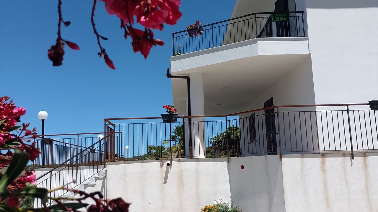 Photo of Others in Altavilla Milicia