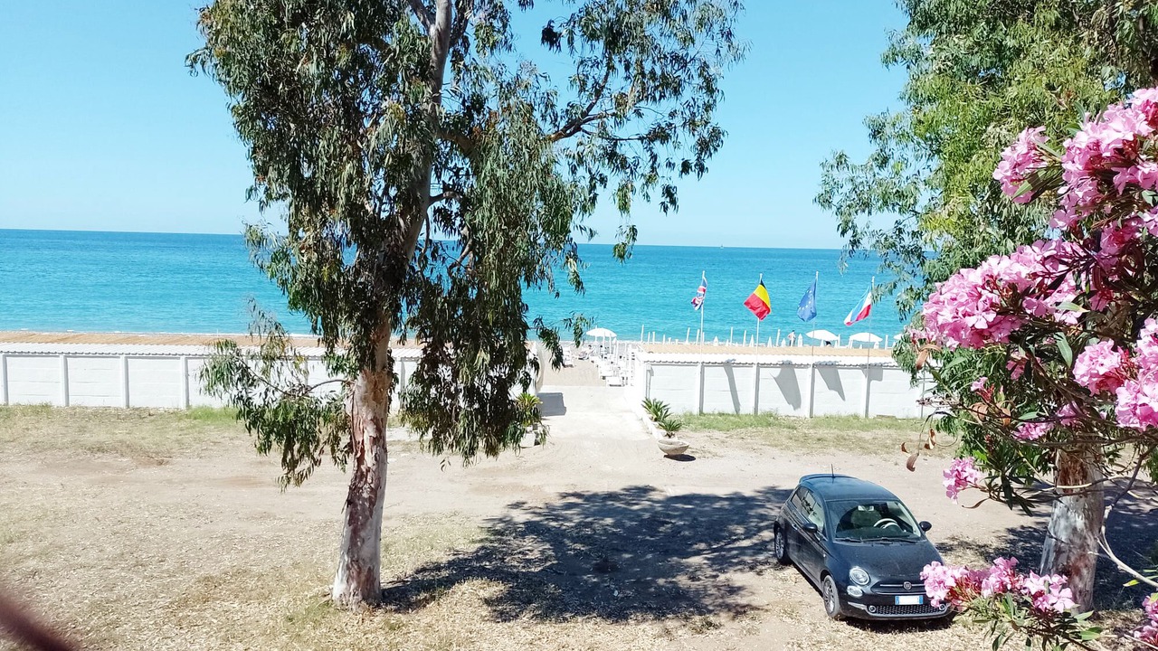 Photo of Others in Altavilla Milicia