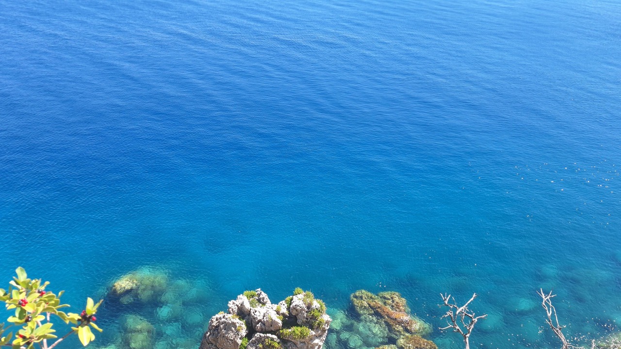 Photo of Outdoor in Scilla
