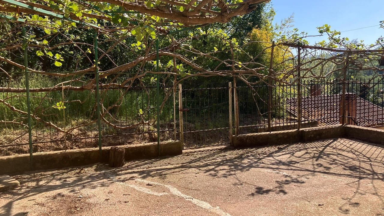 Photo of Outdoor in Contrada