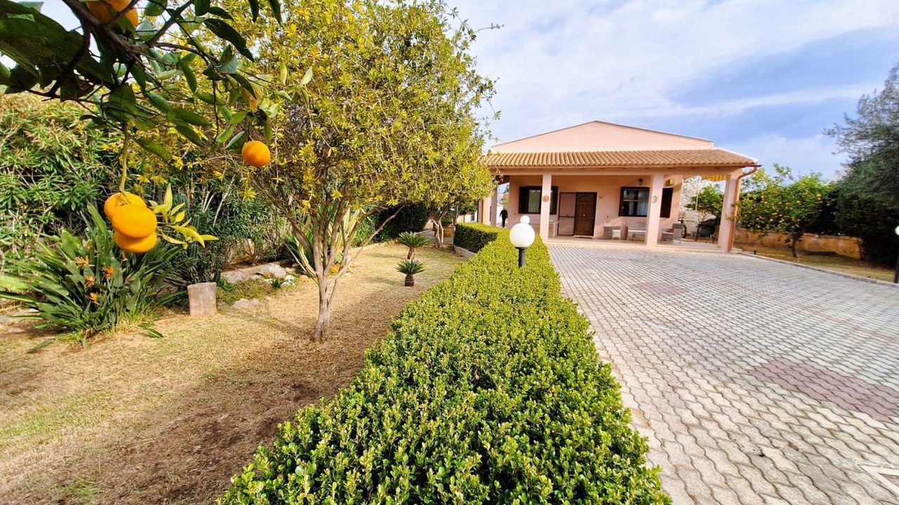 Photo of Outdoor in Arenella