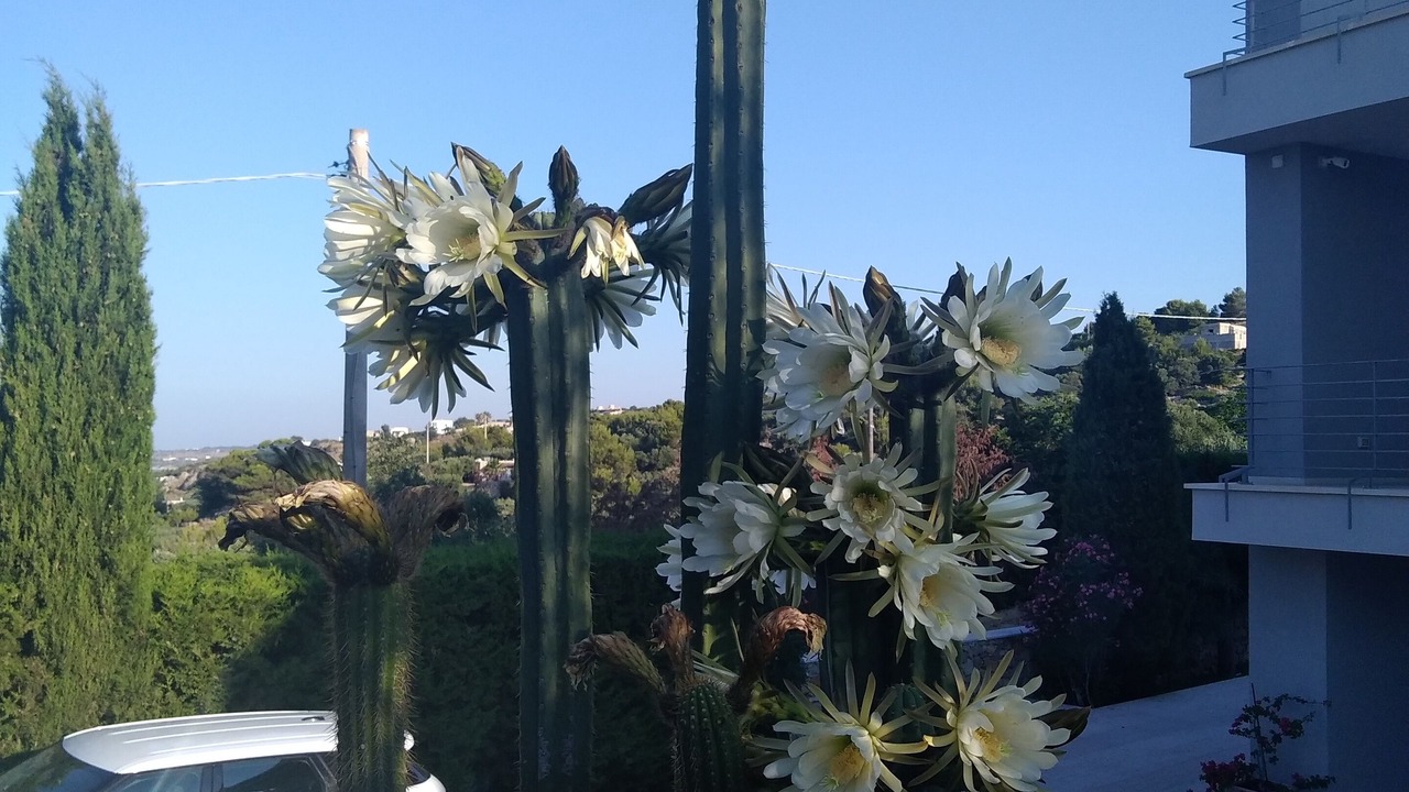 Photo of Outdoor in Torre Vado