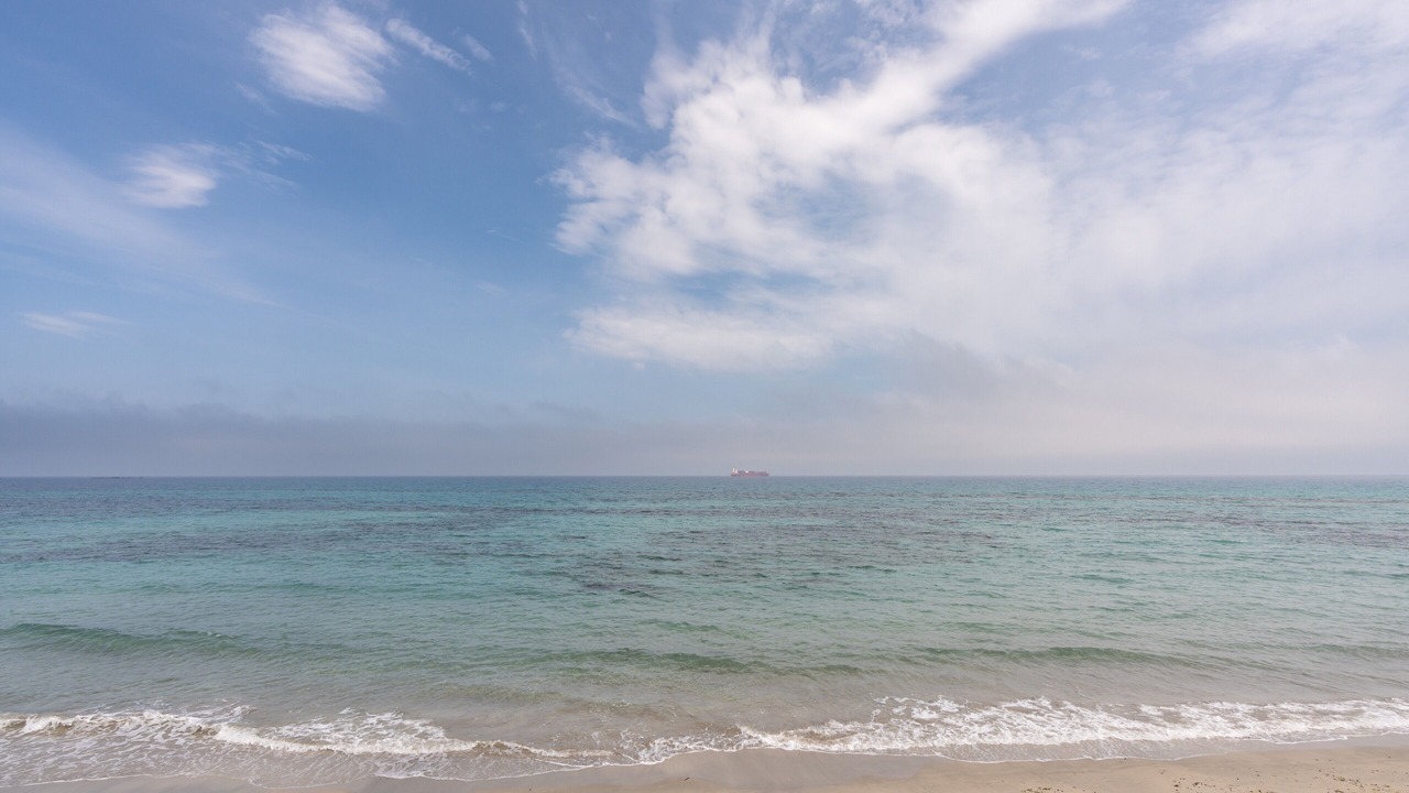 Photo of Others in Trapani