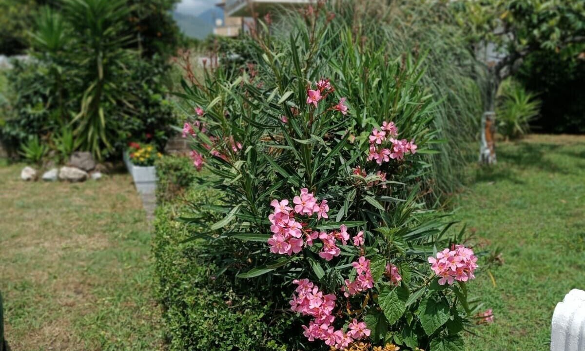 Photo of Outdoor in Tortora Marina