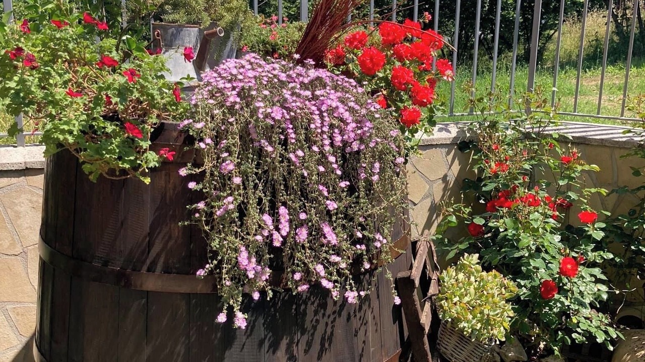 Photo of Outdoor in Avellino