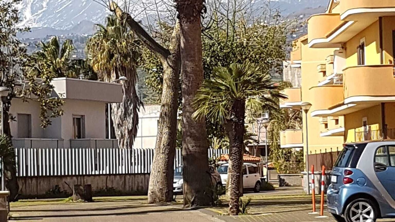 Photo of Outdoor in Mascali