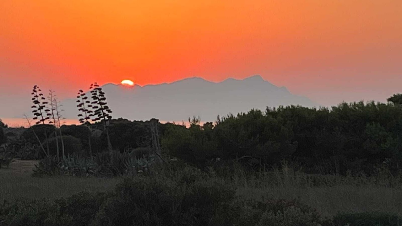 Photo of Others in Favignana