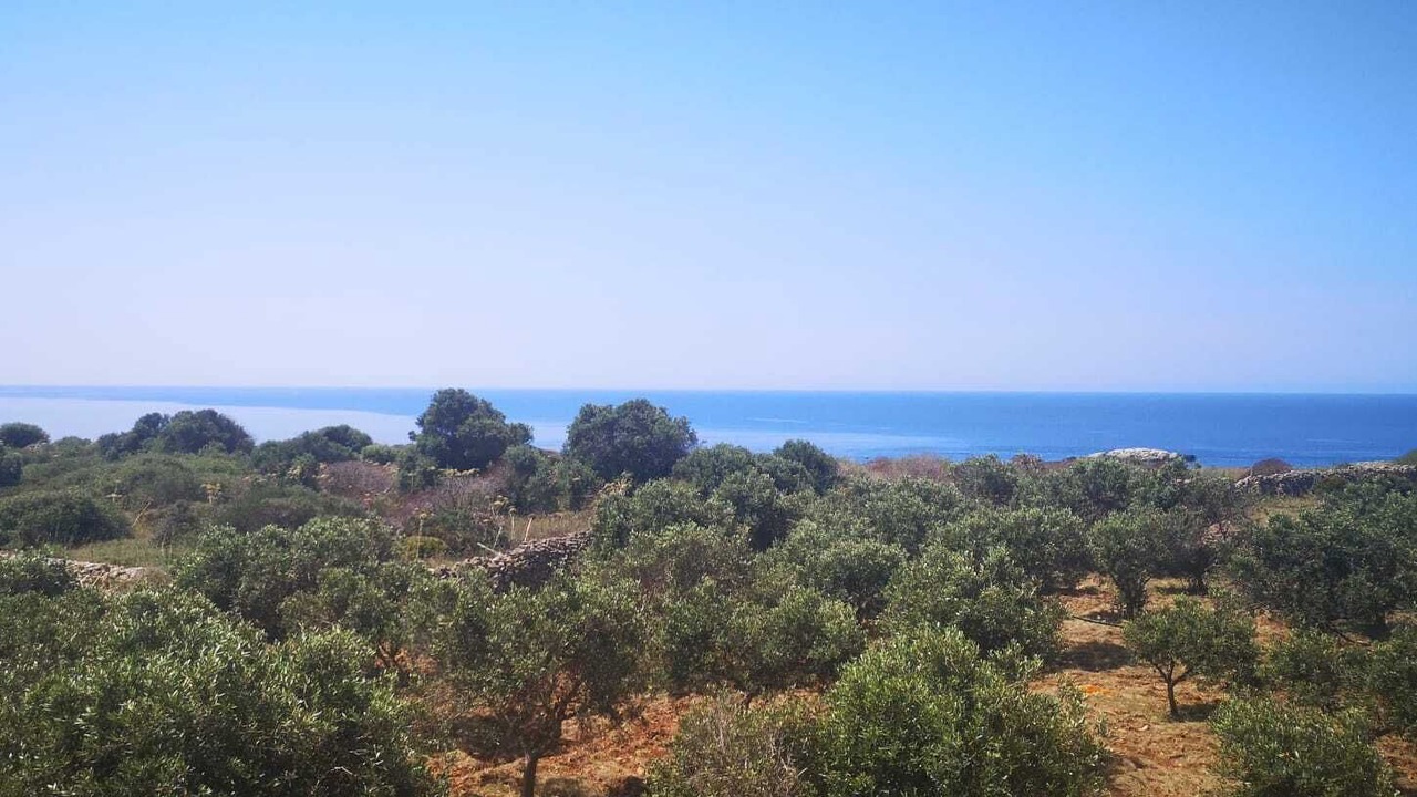 Photo of Others in Favignana
