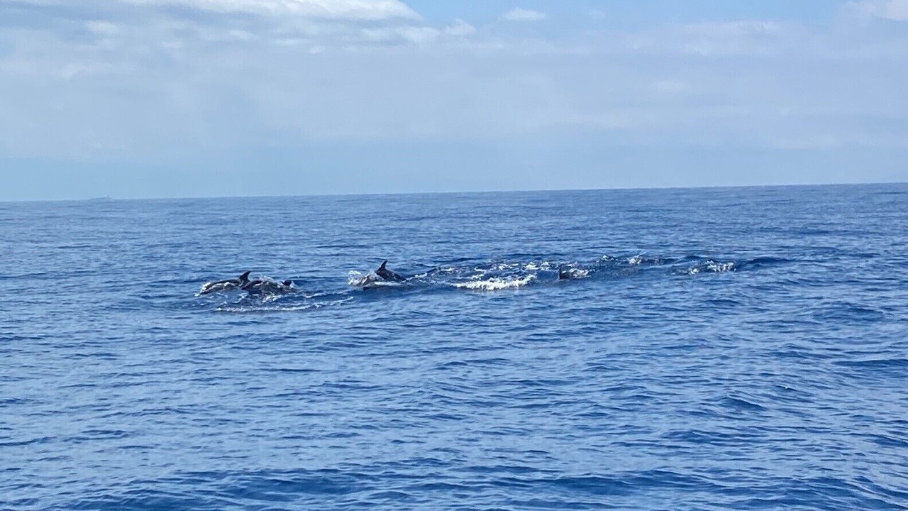 Photo of Others in Santa Maria