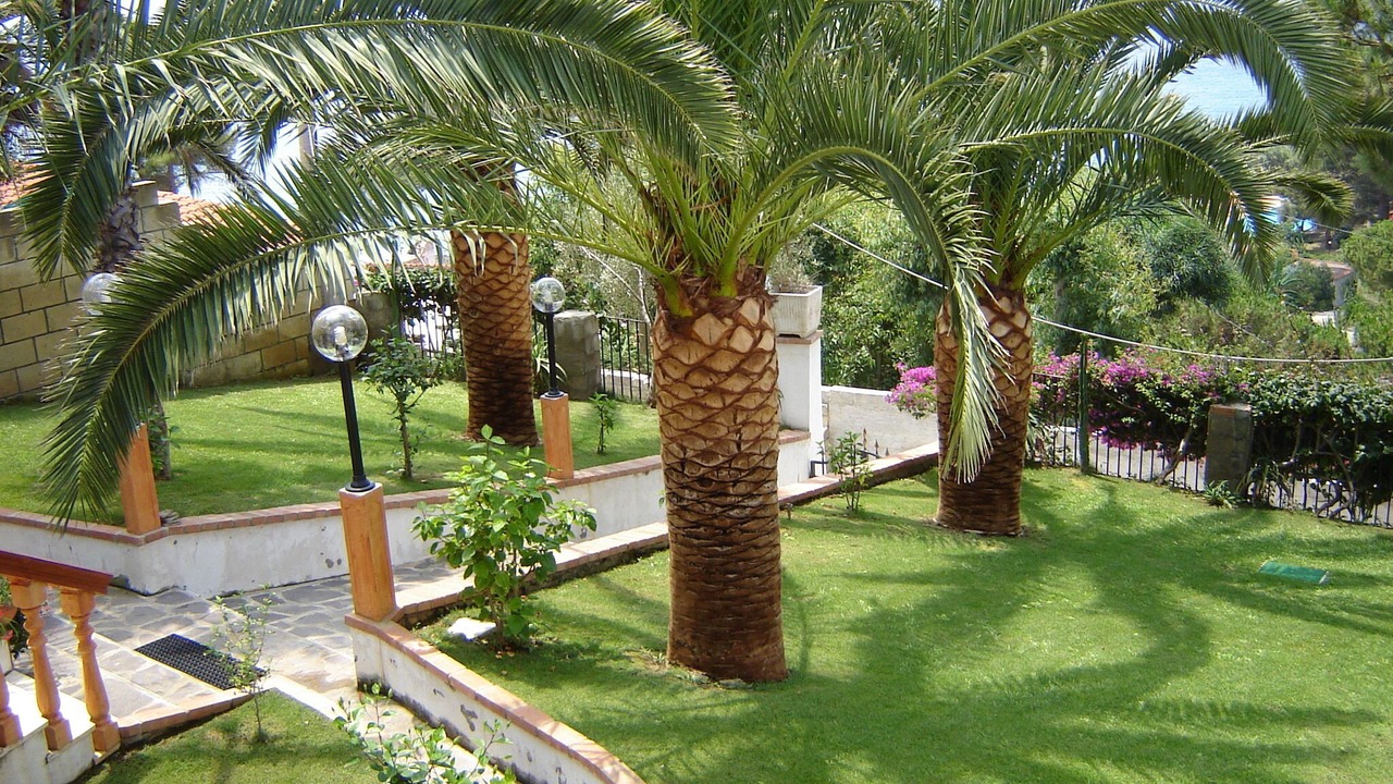Photo of Outdoor in Santa Maria