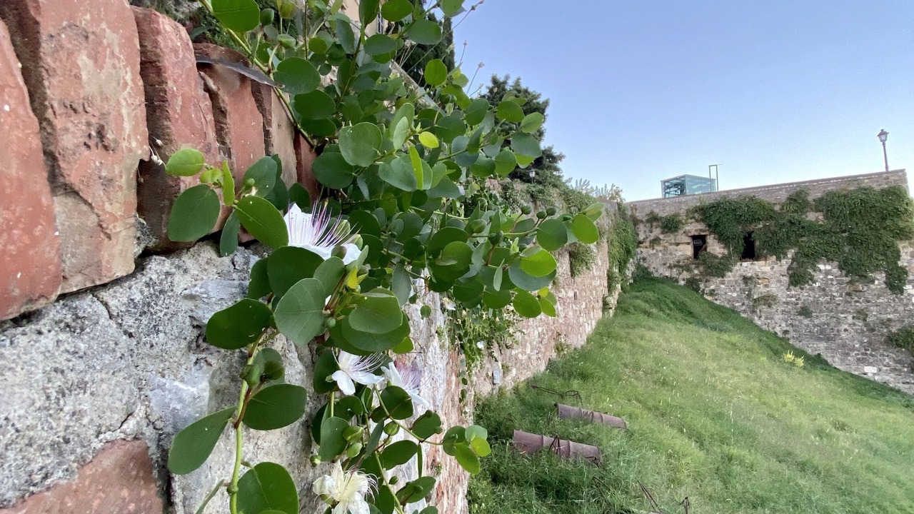 Photo of Outdoor in Colle di Val d'Elsa