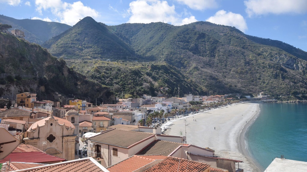 Photo of Others in Scilla