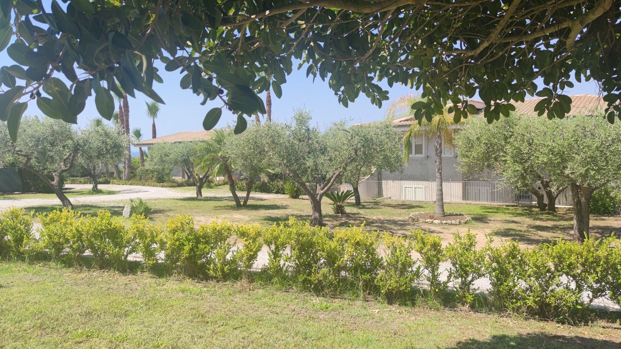 Photo of Outdoor in Santa Maria