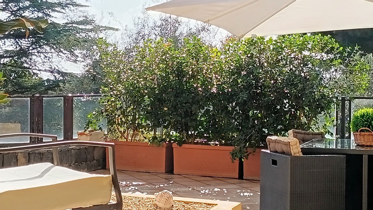 Photo of Outdoor in Aci Trezza