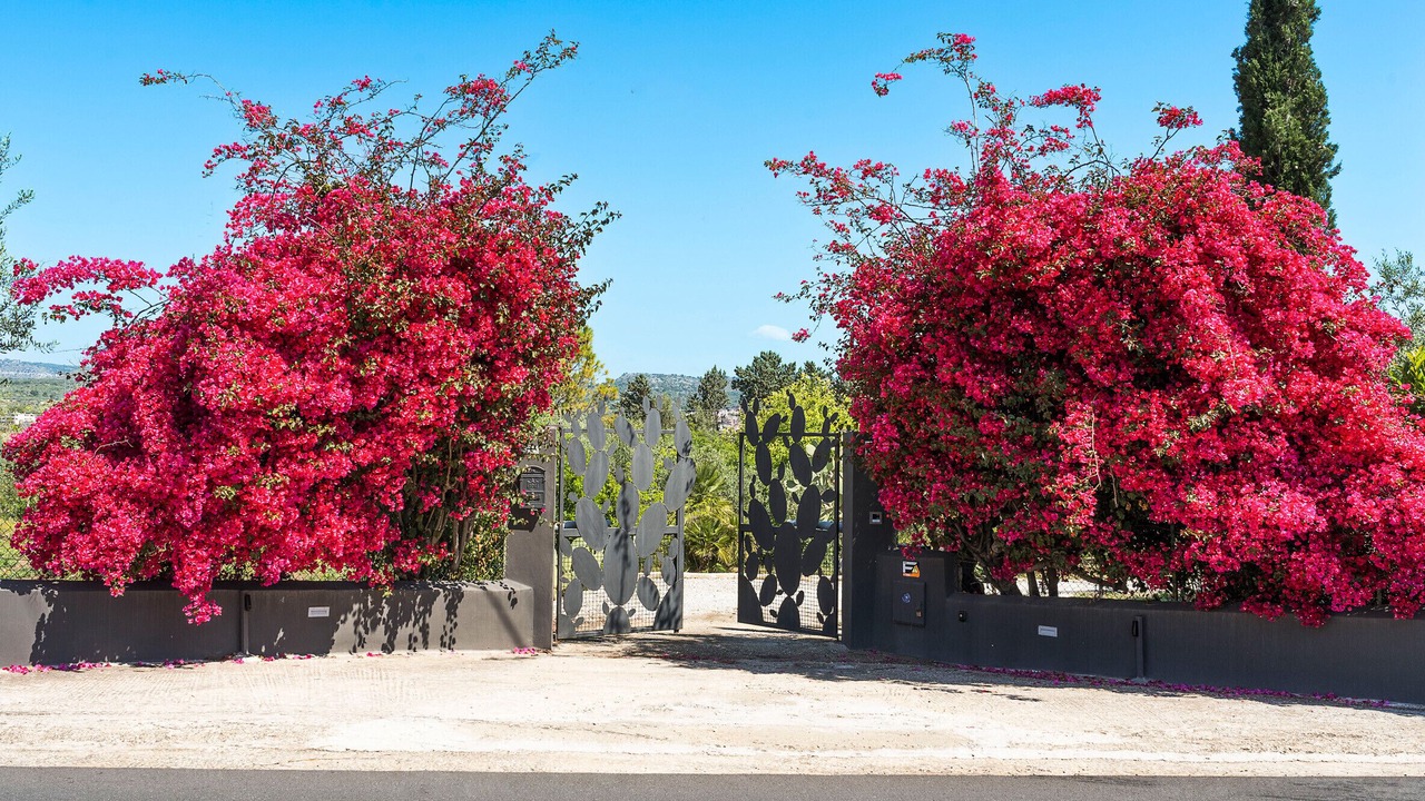 Photo of Outdoor in Noto