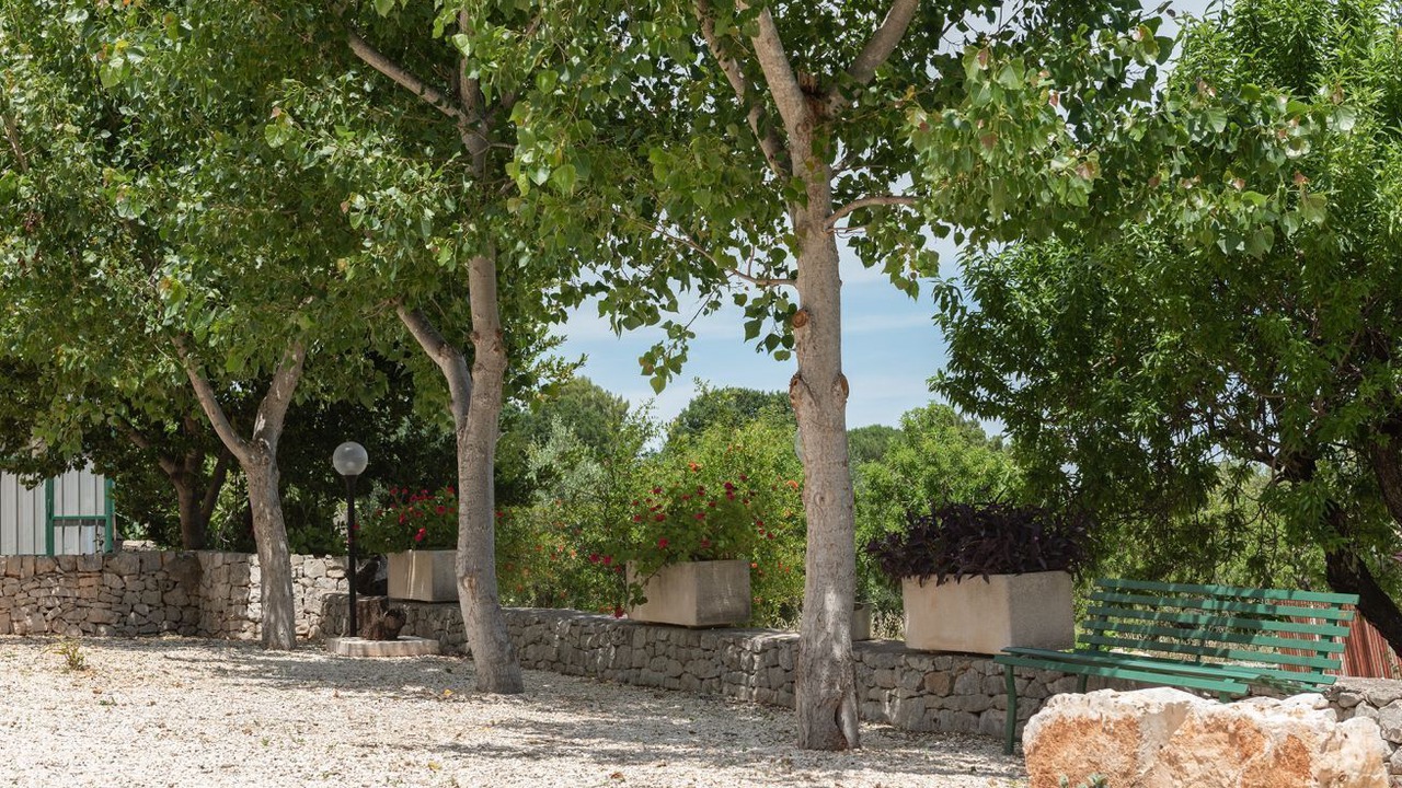 Photo of Outdoor in Fumarola