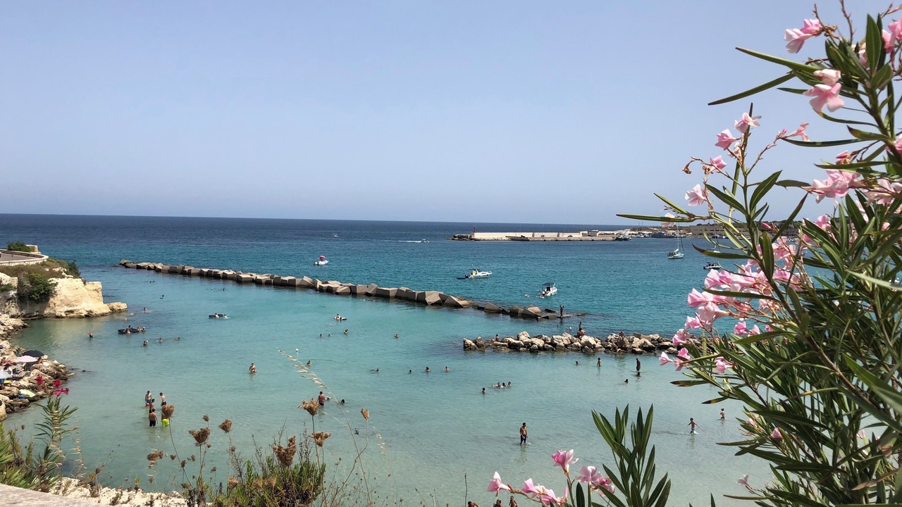 Photo of Others in Palmariggi