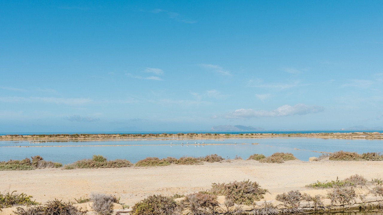 Photo of Others in Marsala