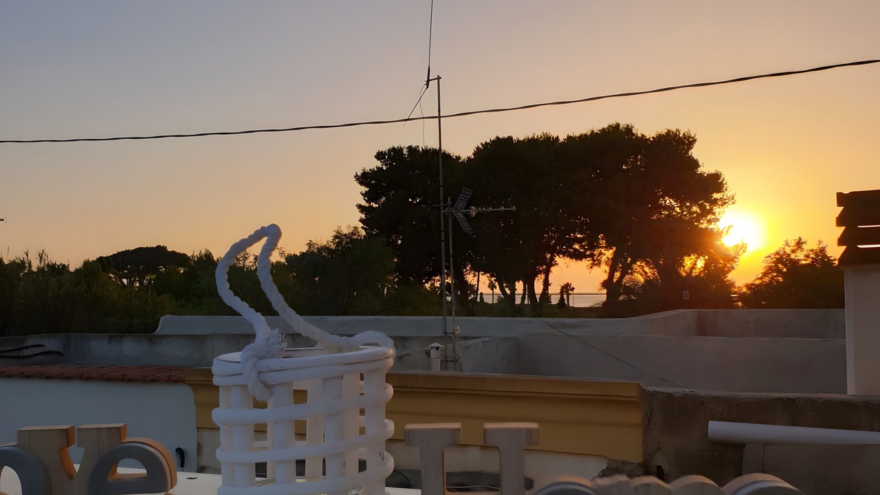 Photo of Others in Marsala