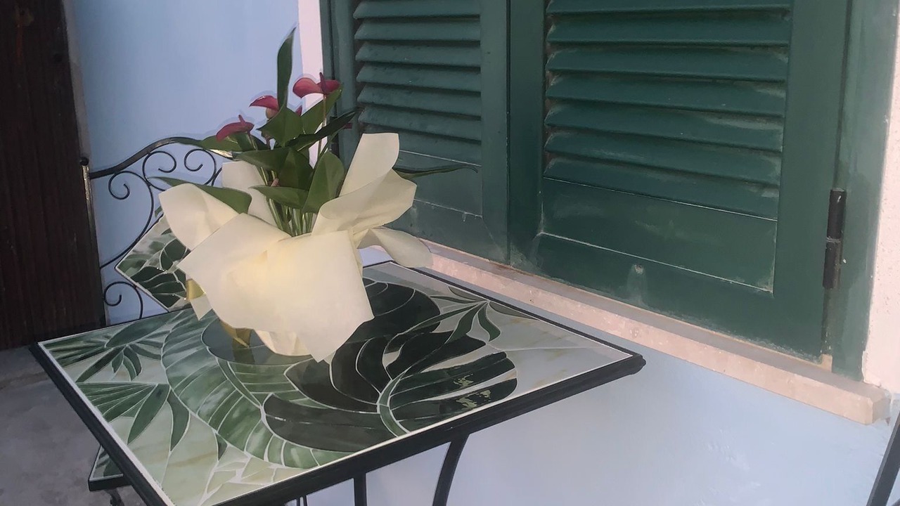 Photo of Outdoor in Maratea