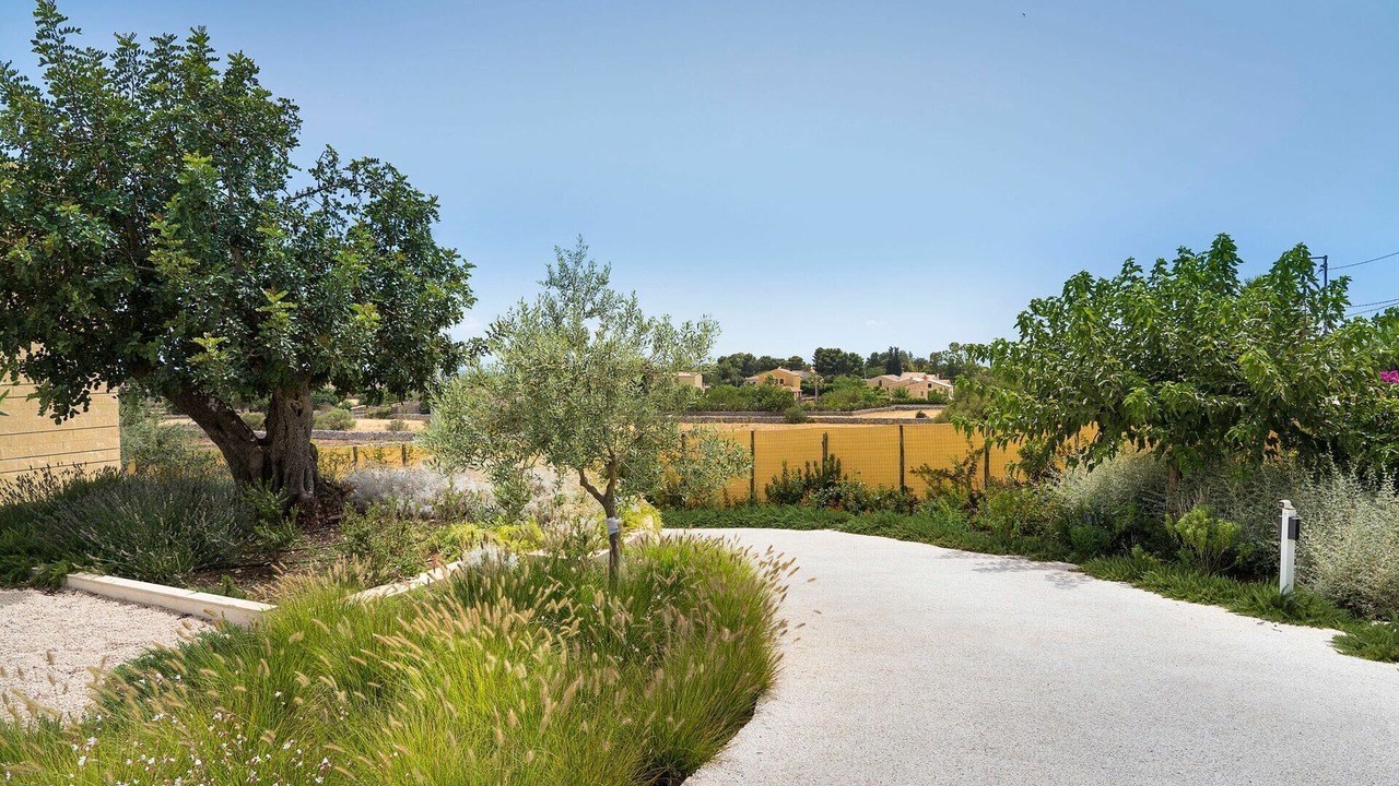 Photo of Outdoor in Casa Papa