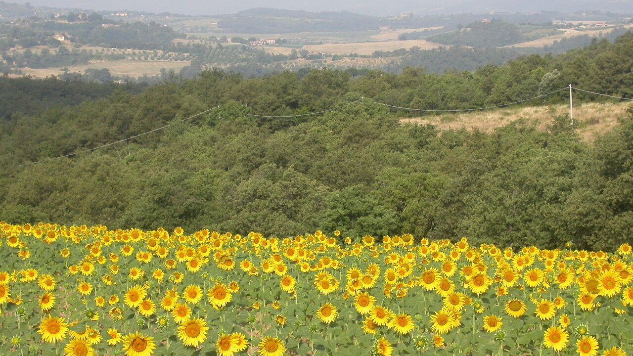 Photo of Outdoor in Citta della Pieve
