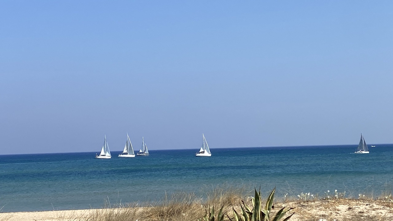 Photo of Others in Alcamo Marina