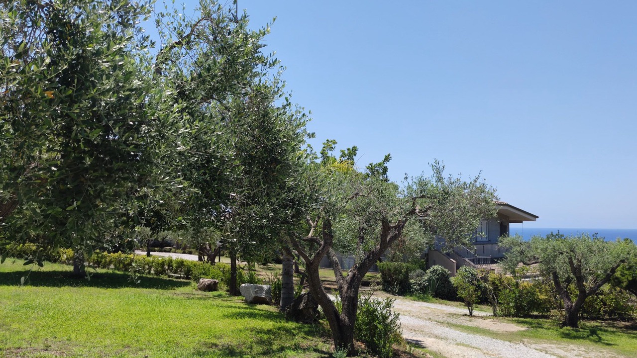 Photo of Outdoor in Santa Maria