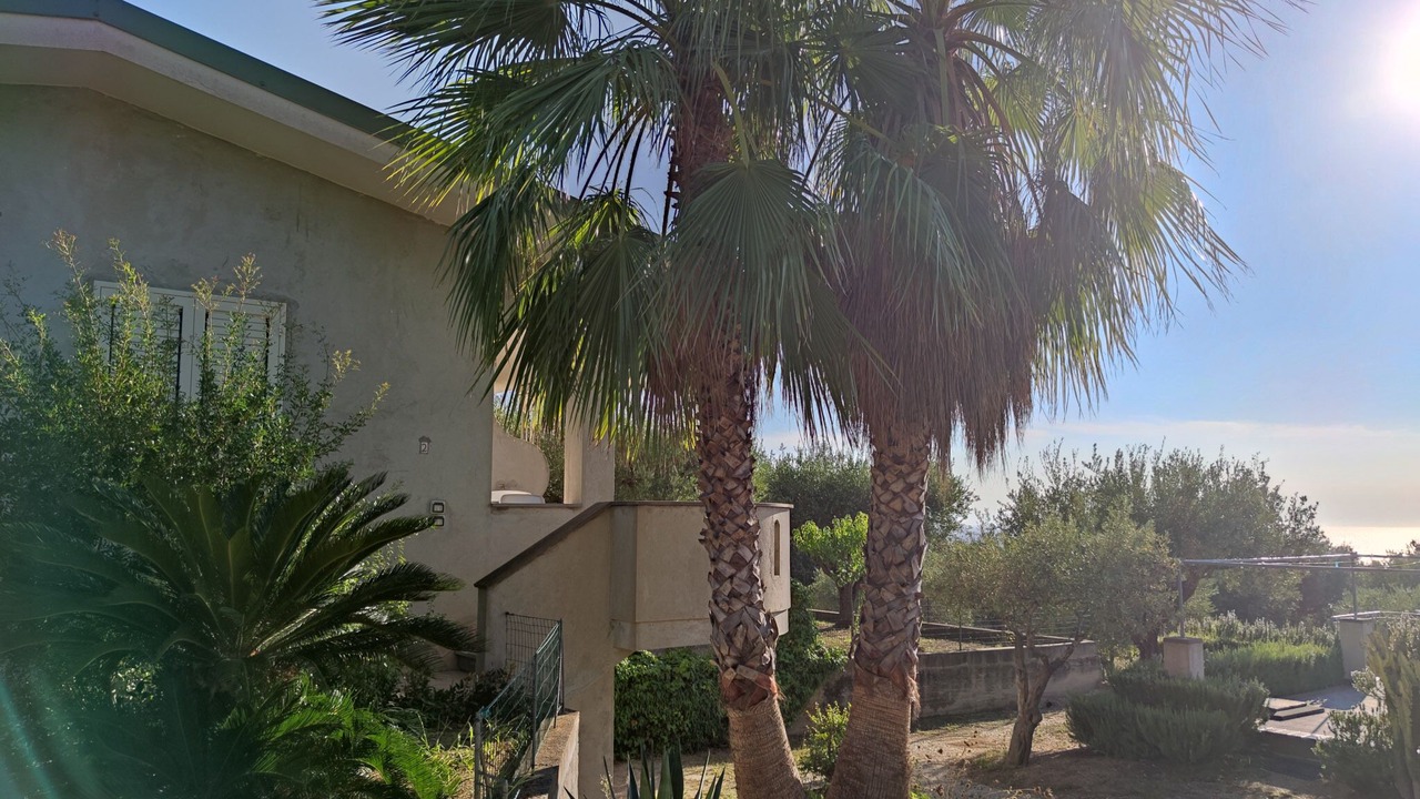 Photo of Outdoor in Santa Maria