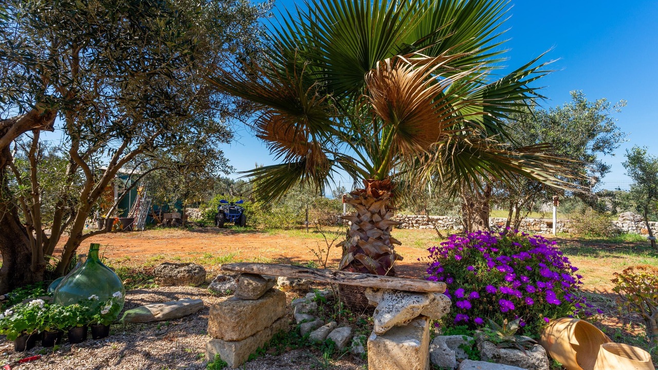 Photo of Outdoor in Marina di Pescoluse