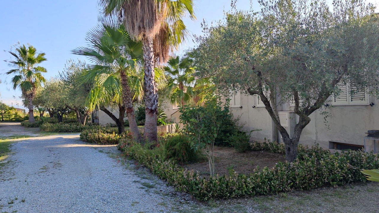 Photo of Outdoor in Santa Maria