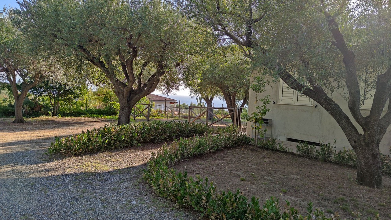 Photo of Outdoor in Santa Maria