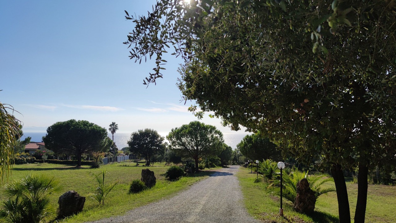 Photo of Outdoor in Santa Maria