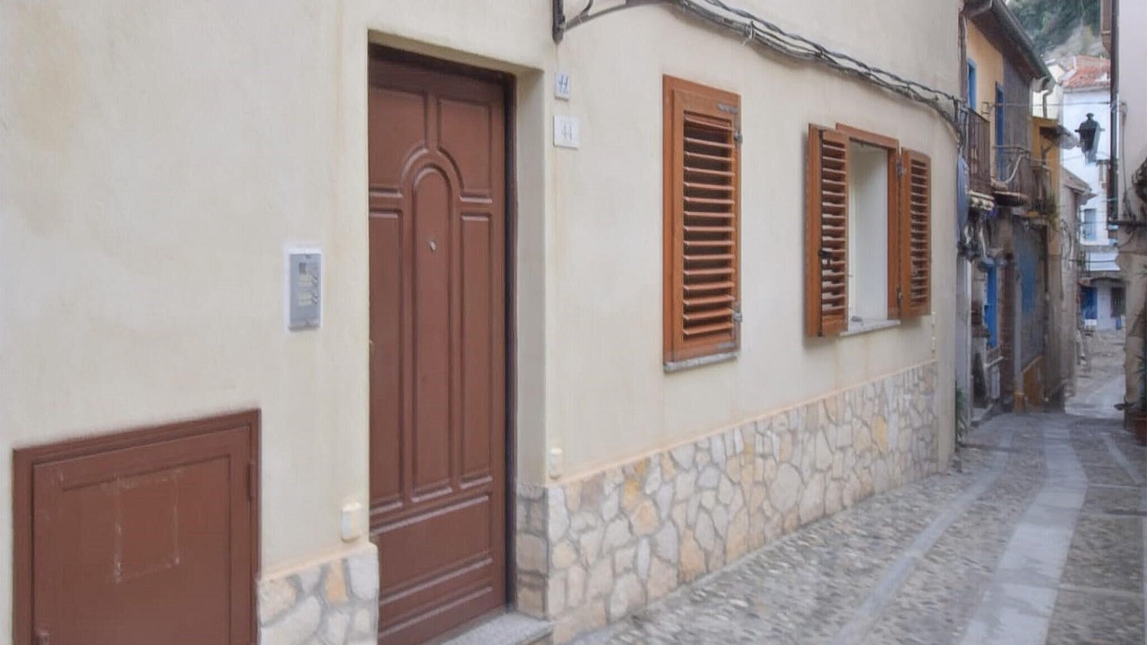 Photo of Others in Scilla